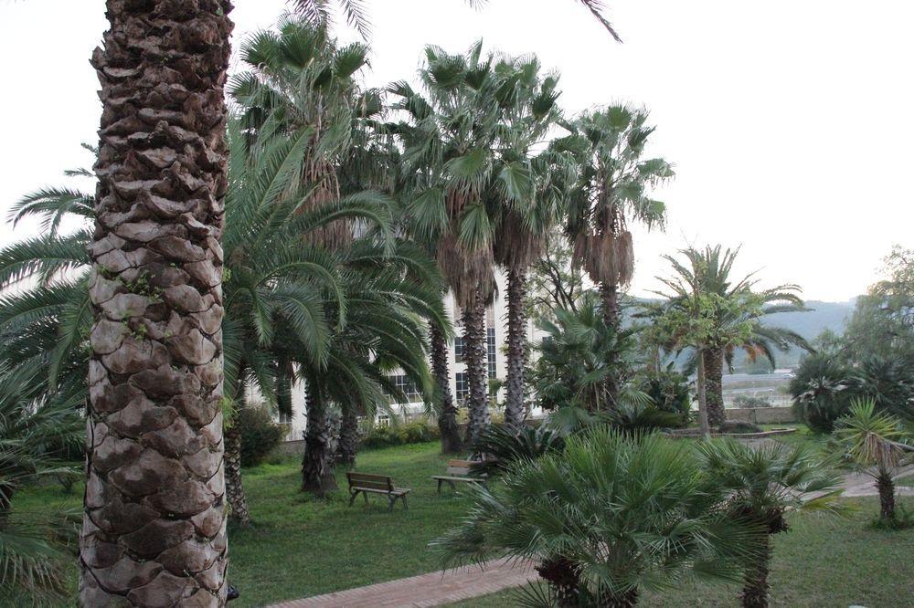 San Michele Apartments&Rooms Catanzaro Exterior photo